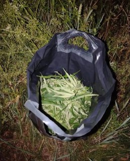 В Тегульдете задержали двух мужчин с 450 граммами конопли: уголовные дела возбуждены