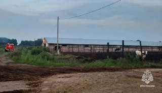 Четыре пожара за сутки в Томской области: пострадали строения и животные
